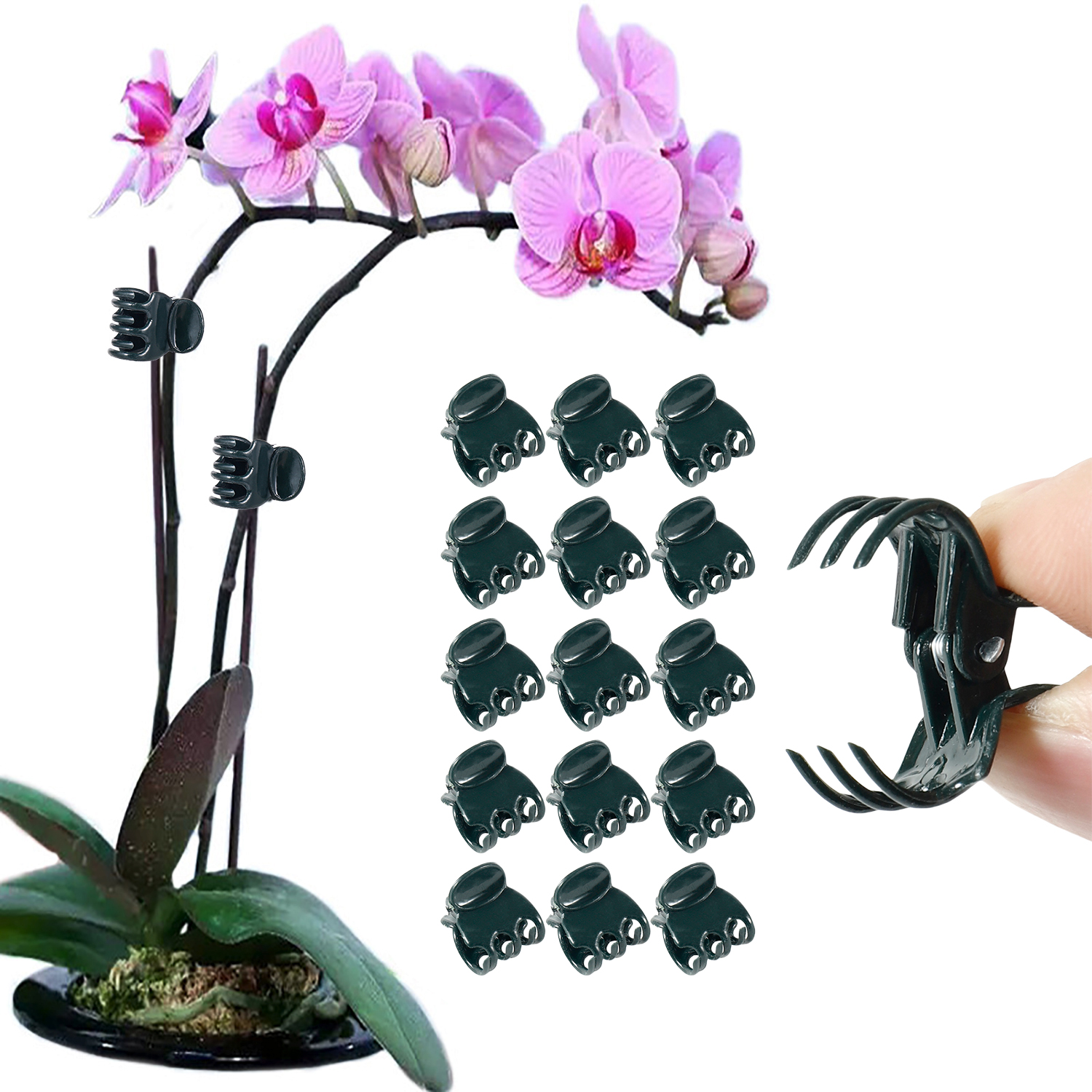 Supply For Florist - 50/100Pcs Plant Clips Butterfly Orchid Flower