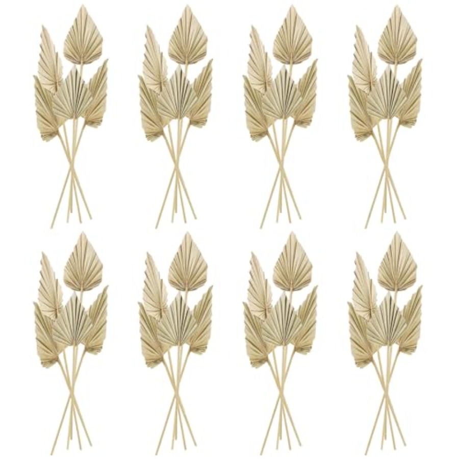 Palm Leaf Dried - Cenkaiyang 40 Pcs Boho Dried Palm