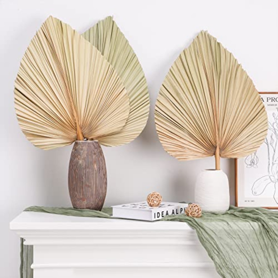 10 Large Bulk Boho Dried Palm  - Palm Leaf Dried ulasan dan harga