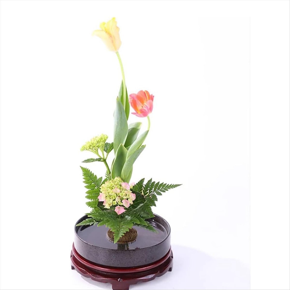 KSOL 12PCS Flower Frog, Kenzan - Flower Frog Pin ulasan dan harga