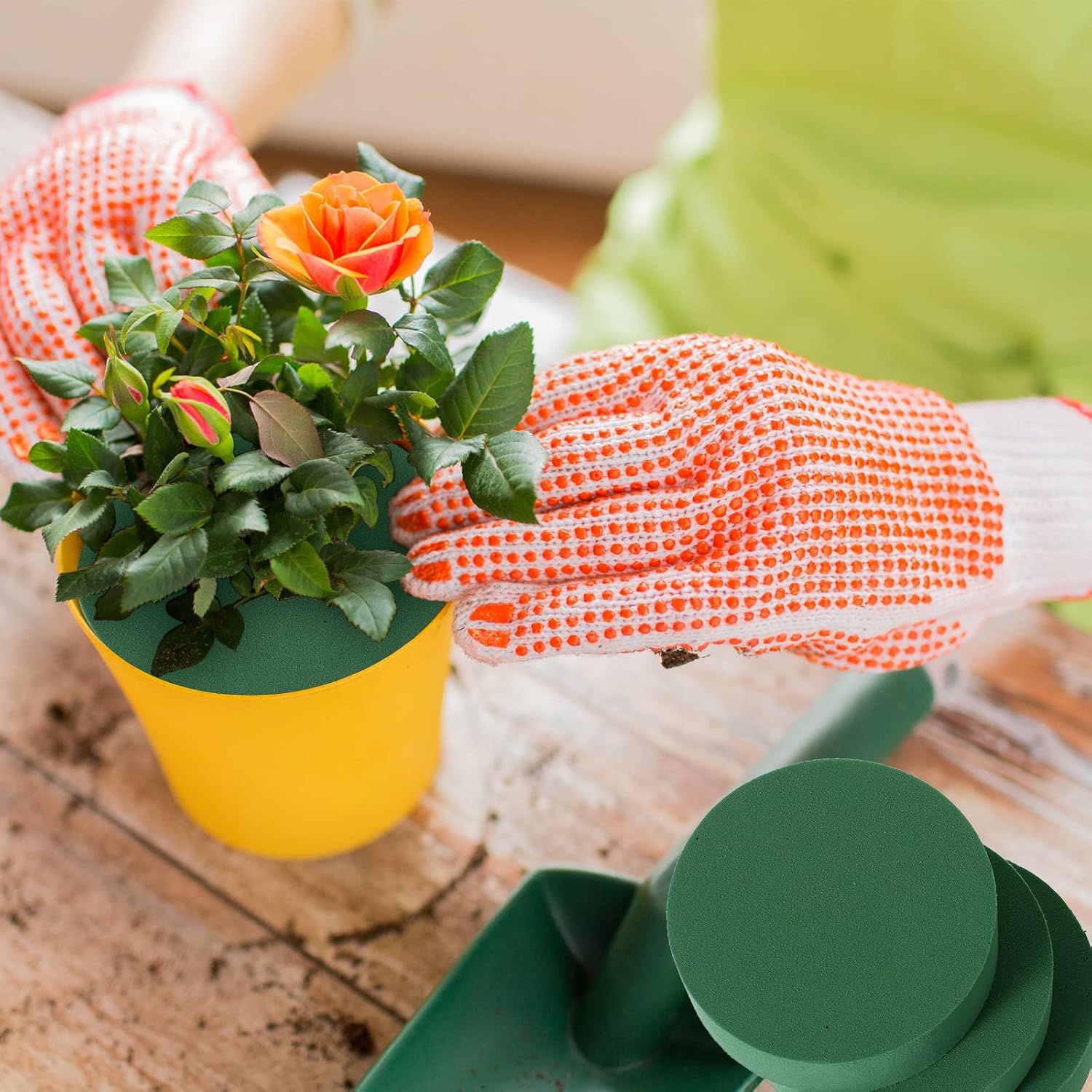 Green Floral Foam Blocks Round - Floral Foam Oasis ulasan dan harga