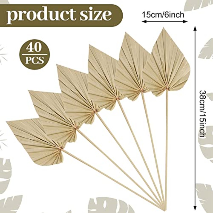 Cenkaiyang 40 Pcs Boho Dried P - Palm Leaf Dried ulasan dan harga