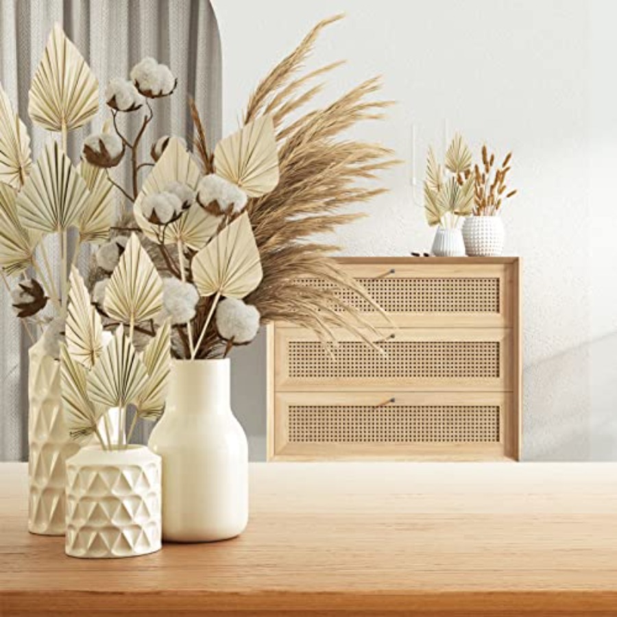 Cenkaiyang 40 Pcs Boho Dried P - Palm Leaf Dried ulasan dan harga