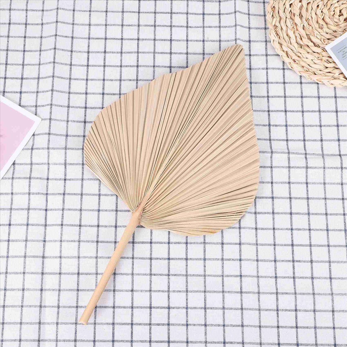 NOCM Dried Palm Leaves Room De - Palm Leaf Dried ulasan dan harga