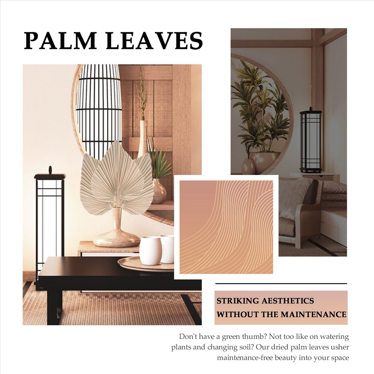 NOCM Dried Palm Leaves Room De - Palm Leaf Dried ulasan dan harga