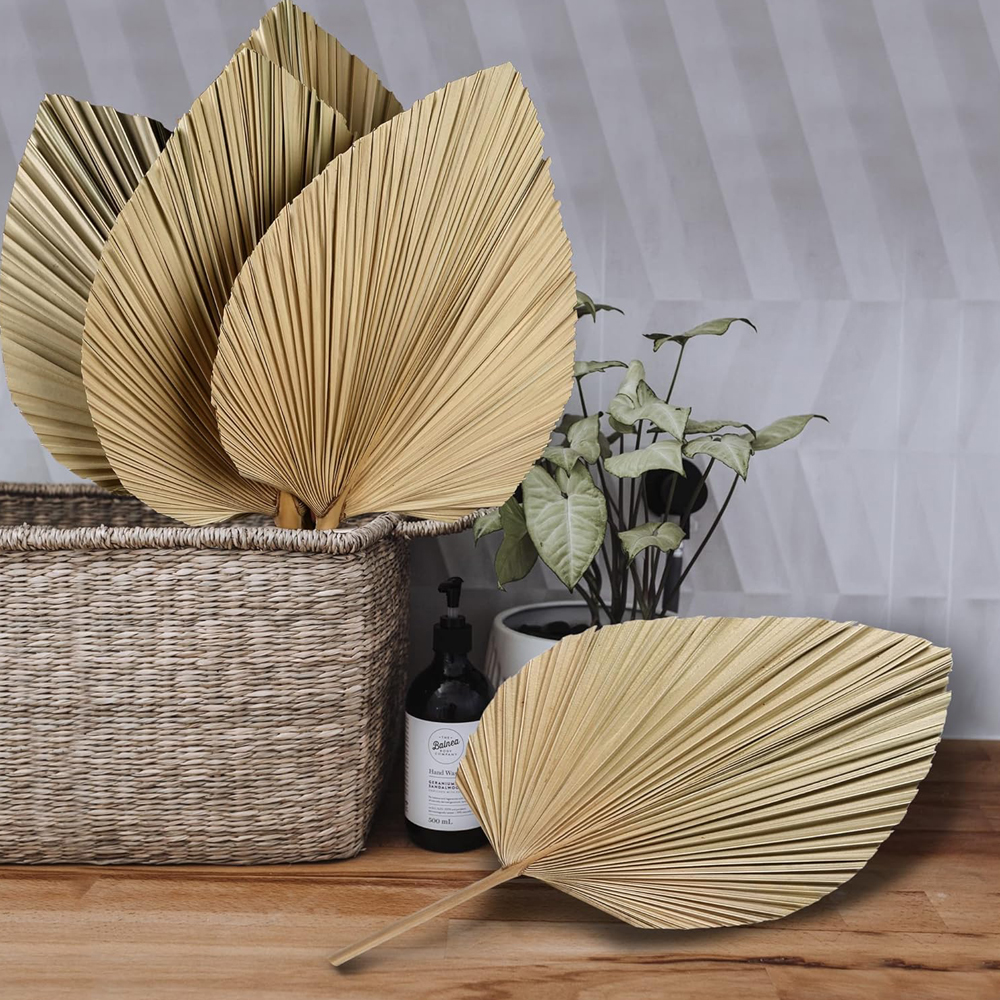 Dried Palm Leaves Boho Palm Le - Palm Leaf Dried ulasan dan harga