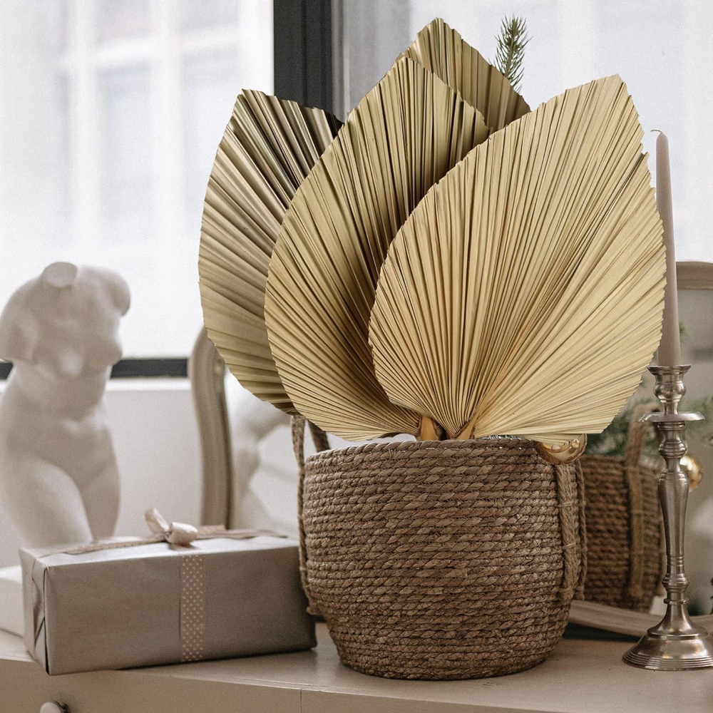 Dried Palm Leaves Boho Palm Le - Palm Leaf Dried ulasan dan harga