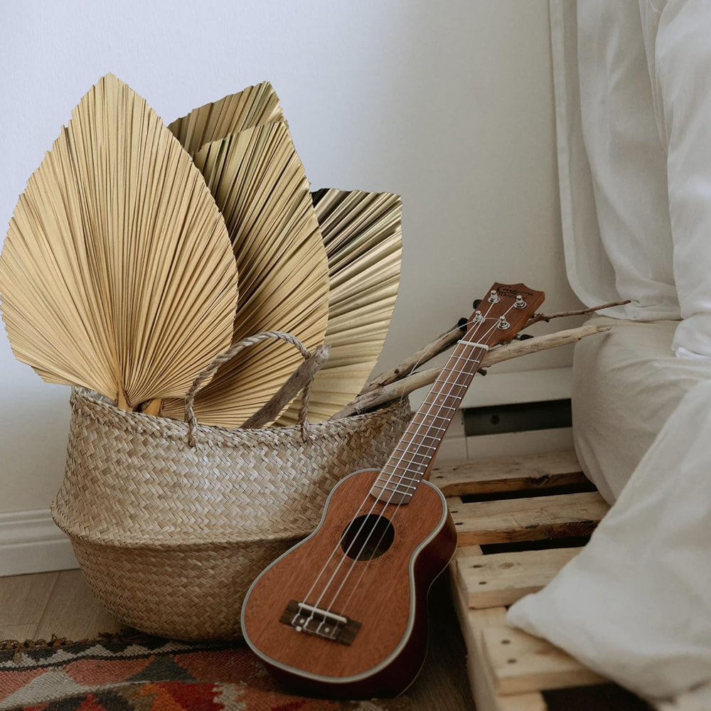 Dried Palm Leaves Boho Palm Le - Palm Leaf Dried ulasan dan harga