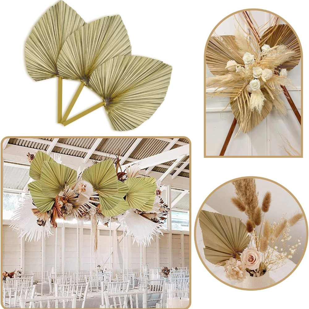3 PCS Natural Dried Palm Leave - Palm Leaf Dried ulasan dan harga