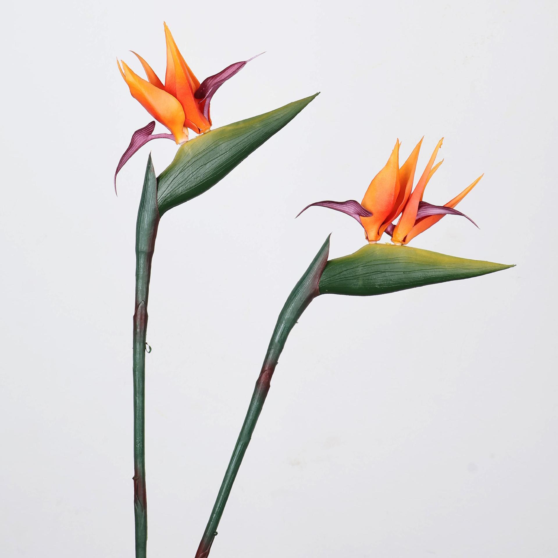 33 Inch Artificial Bird Of Par - Supply For Florist ulasan dan harga
