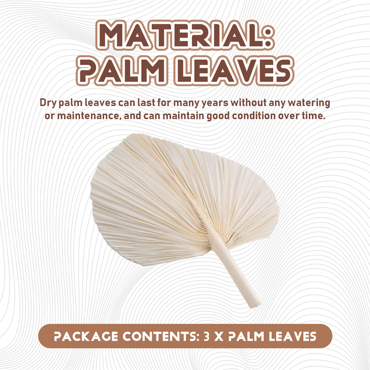 Qualitative Large White Dried  - Palm Leaf Dried ulasan dan harga
