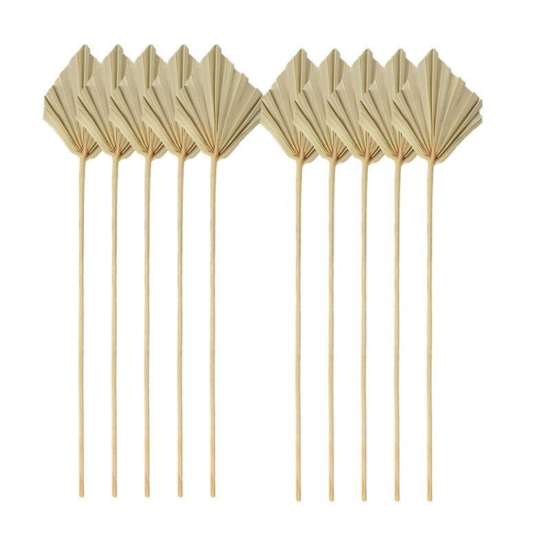 TFORU-Boho Dried Palm Spears S - Palm Leaf Dried ulasan dan harga