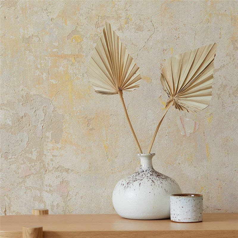 TFORU-Boho Dried Palm Spears S - Palm Leaf Dried ulasan dan harga