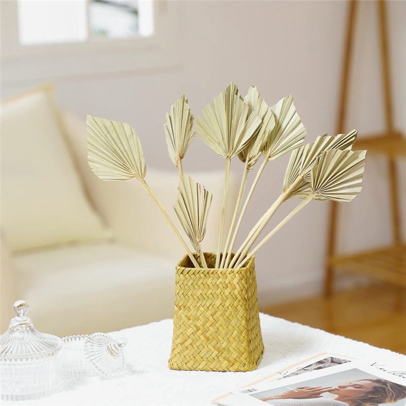 TFORU-Boho Dried Palm Spears S - Palm Leaf Dried ulasan dan harga