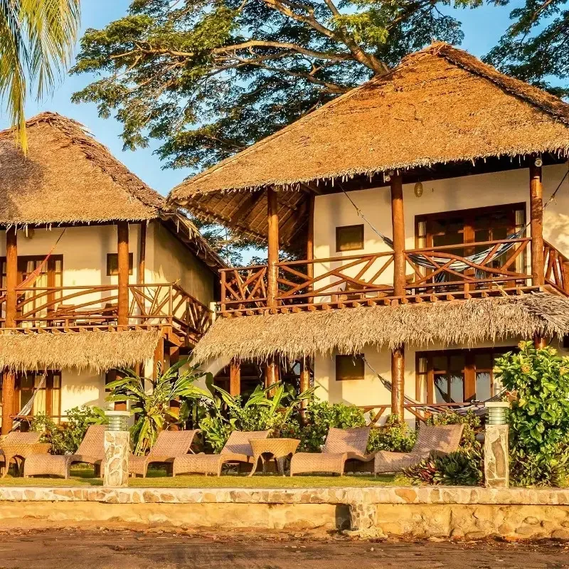 Thatch Grass Palm Thatch Rolls - Palm Leaf Dried ulasan dan harga