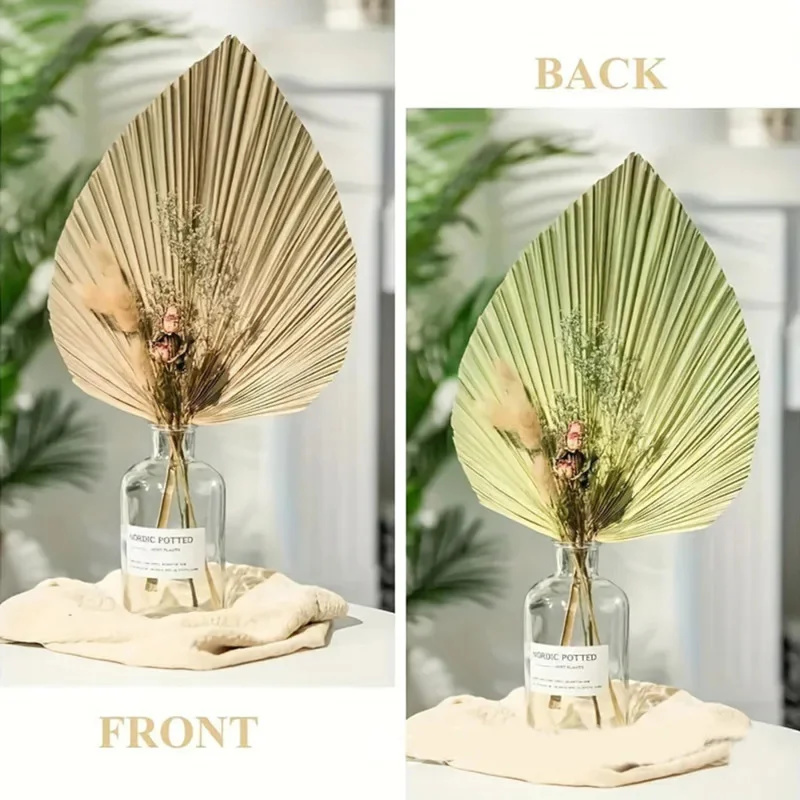 Mini Dried Palm Leaves – Tropi - Palm Leaf Dried ulasan dan harga