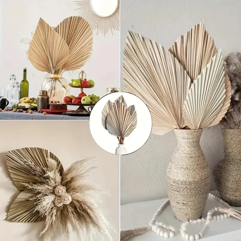 Mini Dried Palm Leaves – Tropi - Palm Leaf Dried ulasan dan harga