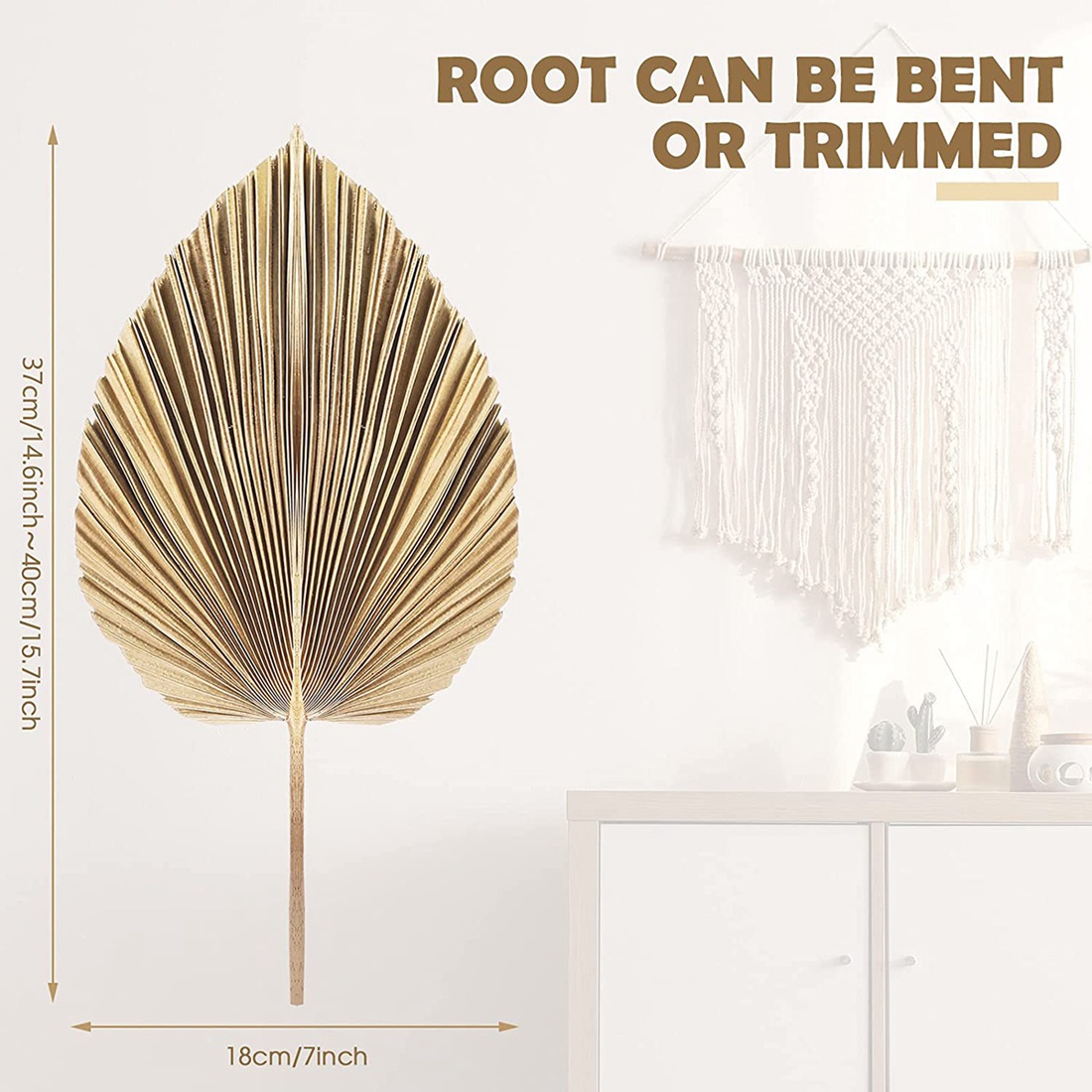 5Pcs Natural Dried Palm Leaves - Palm Leaf Dried ulasan dan harga