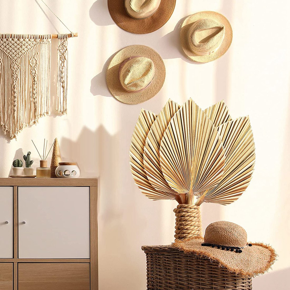 5Pcs Natural Dried Palm Leaves - Palm Leaf Dried ulasan dan harga